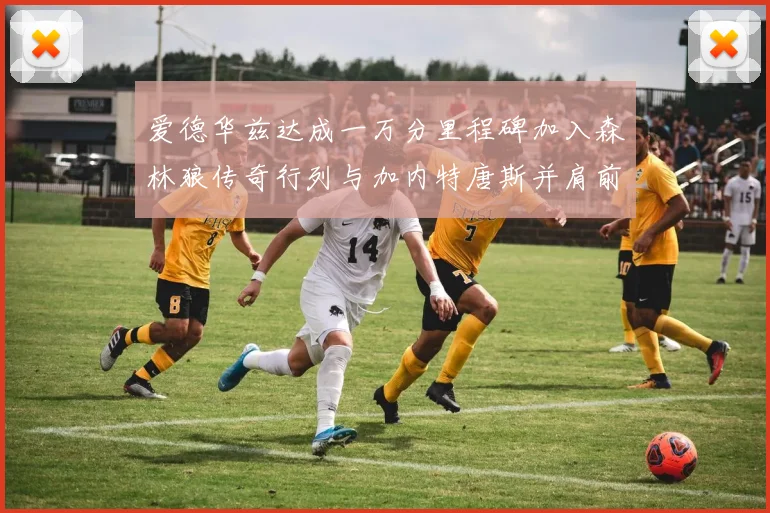 爱德华兹达成一万分里程碑加入森林狼传奇行列与加内特唐斯并肩前行