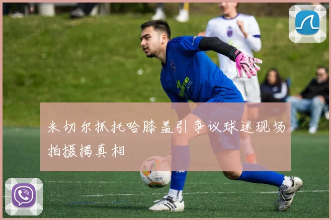 米切尔抓托哈膝盖引争议球迷现场拍摄揭真相